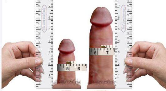мерење на пенисот за и после зголемување дома
