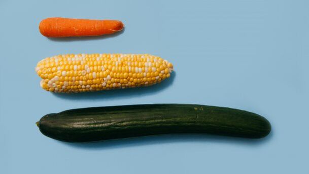 Различни големини на машки член на пример на зеленчук